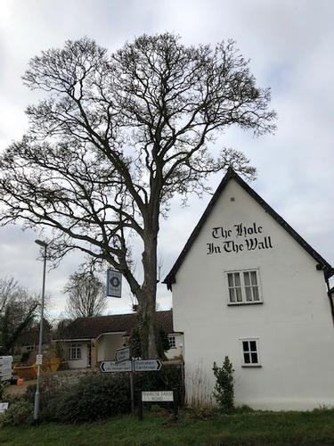 Grand Opening of The Hole in The Wall 2019 The Hole in The Wall of Little Wilbraham, Cambridge is officially opening her doors to the public again. Come visit us to get a taste of award winning, gastro pub quality food and hand picked ales, beers and wines!